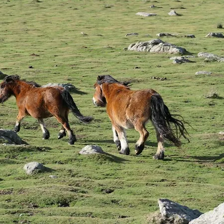 Eyhera Perkain فندق مبيت وإفطار Aldudes