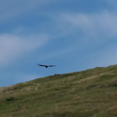 Eyhera Perkain * Aldudes