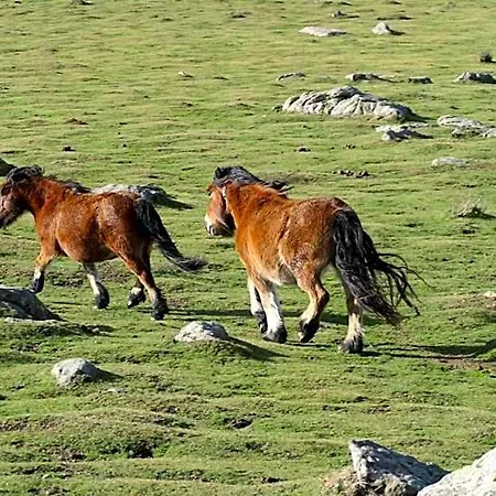 Eyhera Perkain Aldudes