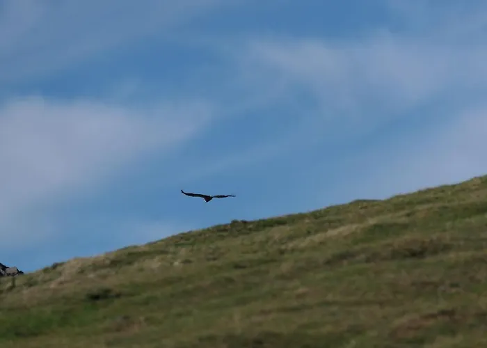 Eyhera Perkain * Aldudes