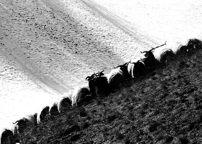 Bed & Breakfast Eyhera Perkain Aldudes